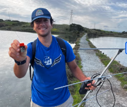 Shark tagging fieldwork